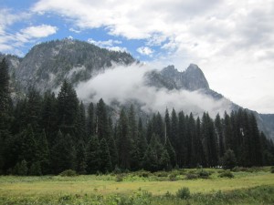 There was a storm and the clouds seem to hang below the trees