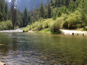 The Merced was perfect for river swimming